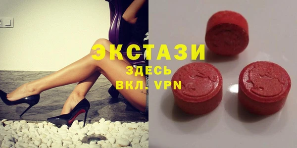 хмурый Аркадак