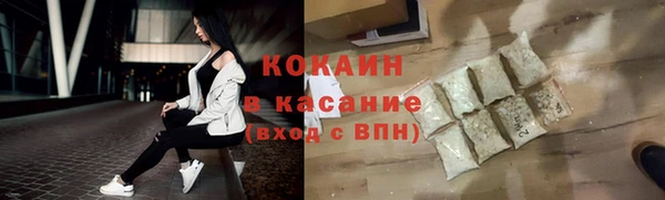 хмурый Аркадак