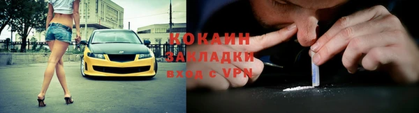 хмурый Аркадак