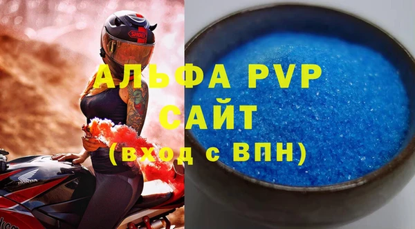 хмурый Аркадак