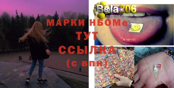 хмурый Аркадак