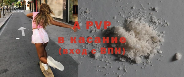 хмурый Аркадак
